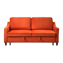 Pull Out Sofa Couch