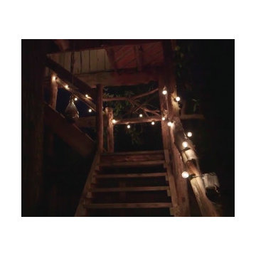 *NEW* Festive Lights!