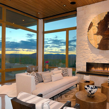 2020 Haciendas Parade of Homes Winner- Mid Century Modern