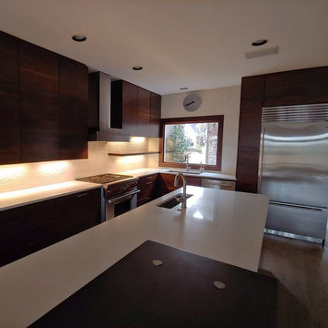 Walnut Kitchen Cabinetry & Waterfall Island w/ Flat Panels & Ebony Stain