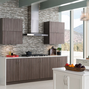 Contemporary Kitchen with Piper and Oakland Park Door Styles