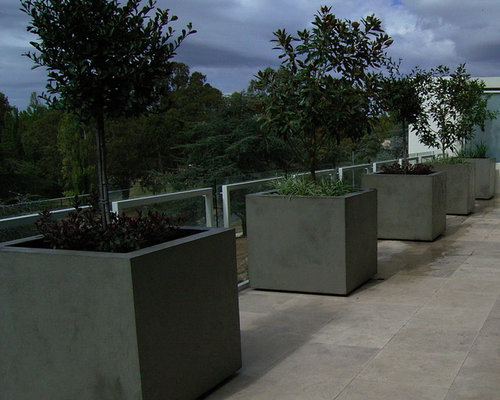 Planter Boxes