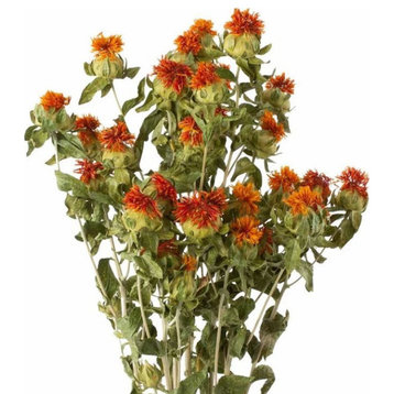 Bulk case of Dried Safflower Flowers, 4 oz 15 Total Bunches