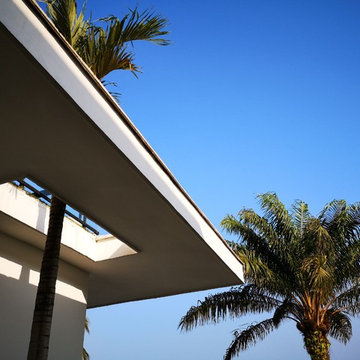 ROYAL PALMS