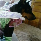 Traci Whitney's photo