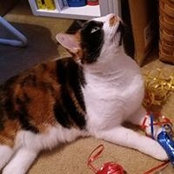 Jackie Green's photo