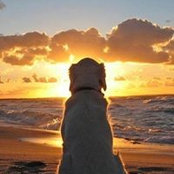 Perry Jones's photo