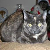 Sharon Street's photo