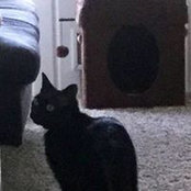 Diane Cleaveland's photo