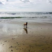 Erin Volz's photo
