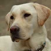Sarah Blatcher's photo