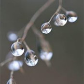 Lillian Du's photo