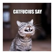 Delynda Mayer's photo