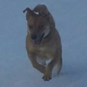 Brian Kleinhans's photo