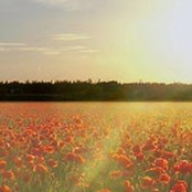 Rob Durrant's photo