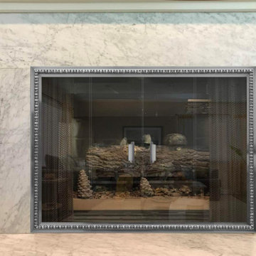 Fireplace Doors