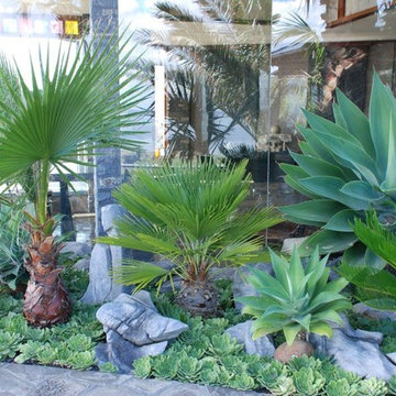 Coastal Palm Garden