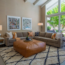 Living Room Ideas