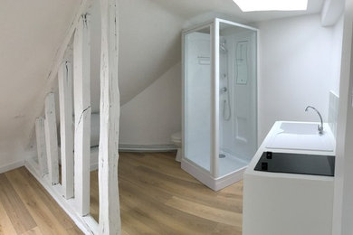 Idées déco pour une petite salle d'eau classique avec un mur blanc, sol en stratifié, un sol beige, WC à poser et une cabine de douche à porte battante.