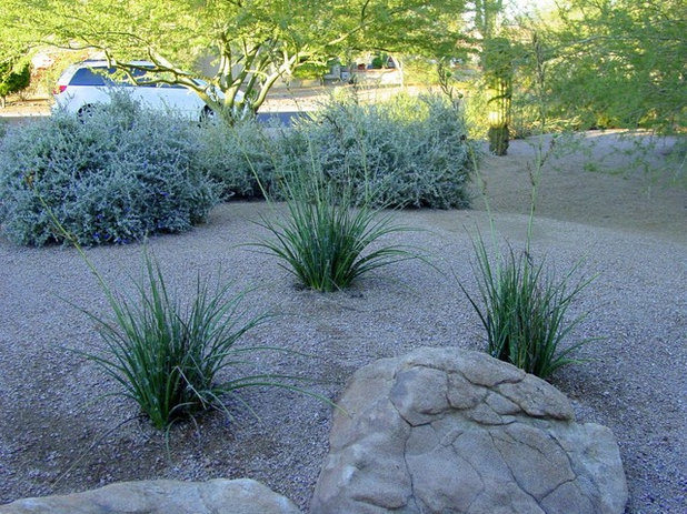 by Noelle Johnson Landscape Consulting