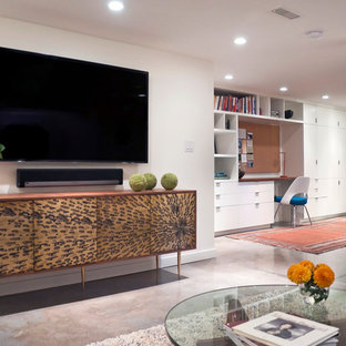 Small modern fully buried basement in Portland with white walls, concrete flooring and no fireplace.