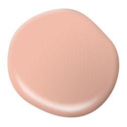 Sunkissed Apricot HDC-CT-14A - Paint