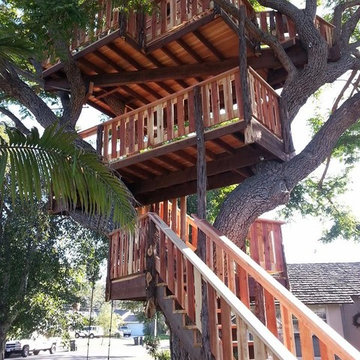 Rossmoore treehouse