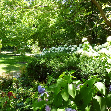 Krumlauff-Weidemann Woodland Garden