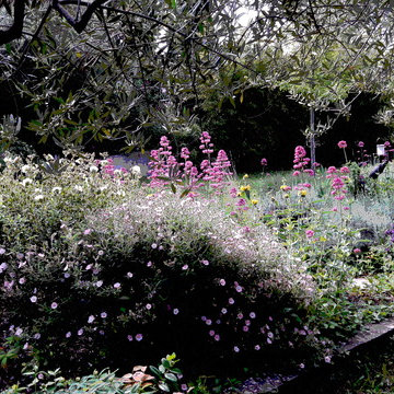 Création d'un jardin - Puyricard