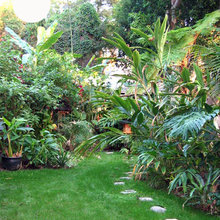Kathy's garden pool