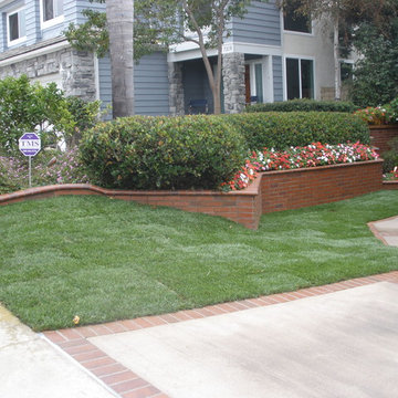 Driveway - Brick Edged
