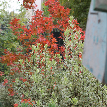Jardin Colombiens Méditerranéen (Colombes - 92)
