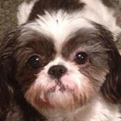 Melissa Canavan's photo