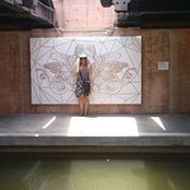 Leslee Holmberg's photo