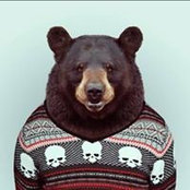Tomas Svidrasさんの写真