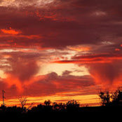 Laura Hanson's photo