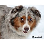 Sabine Helbig's photo