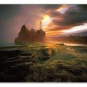 Tova Govia's photo