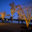 Lite Visions Landscape Lighting