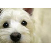 Donna Hedges's photo