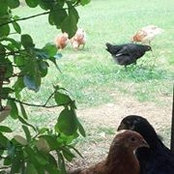 Marlene Valdez Pace's photo