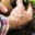 H.E.D.E Gardens and landscaping