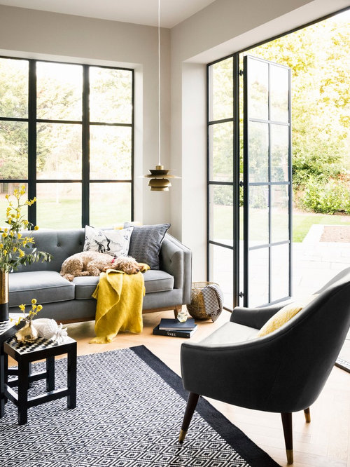 Living Room Design Ideas, Remodels & Photos with Gray Walls | Houzz