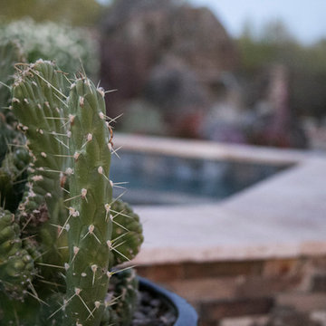 Arizona Residence