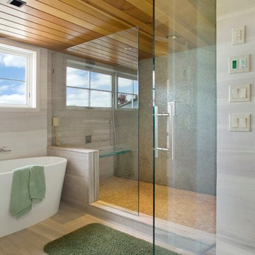 Shower Enclosures - Door & Panel
