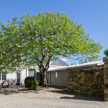 Country Fruit Tree Pruning