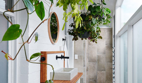 This is How Plants Can Transform Your Bathroom