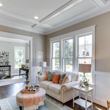 Living Room Ideas