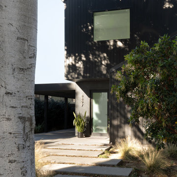The Black Barn