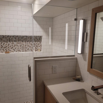 Roseville Mid Century Basement
